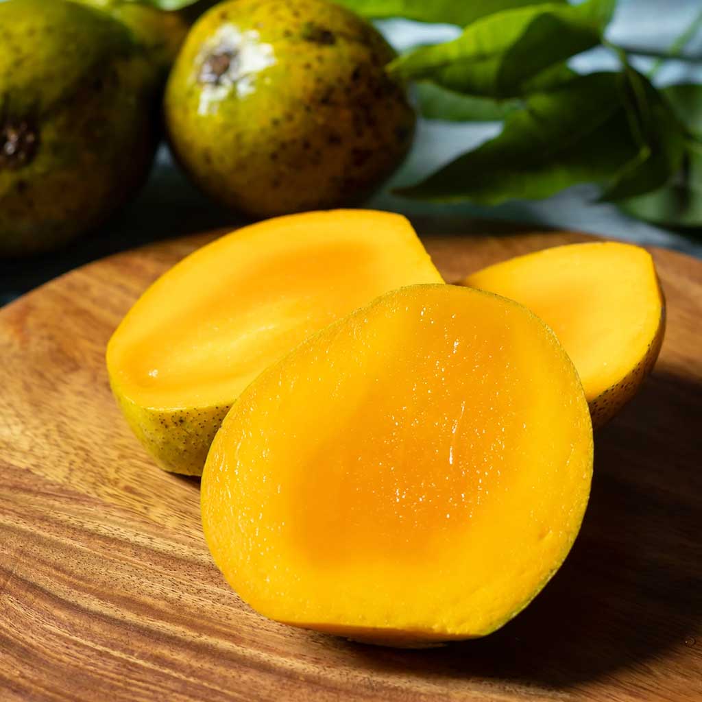 Himsagar mango (2kg box, levering 3e week van juni)